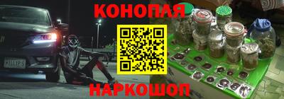 стаф Дубна