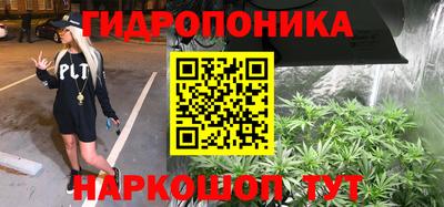 стаф Дубна