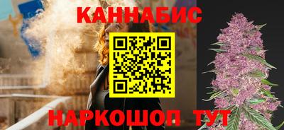 стаф Дубна