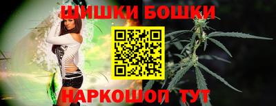 стаф Дубна