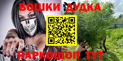 стаф Дубна