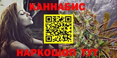 стаф Дубна