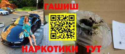 стаф Дубна