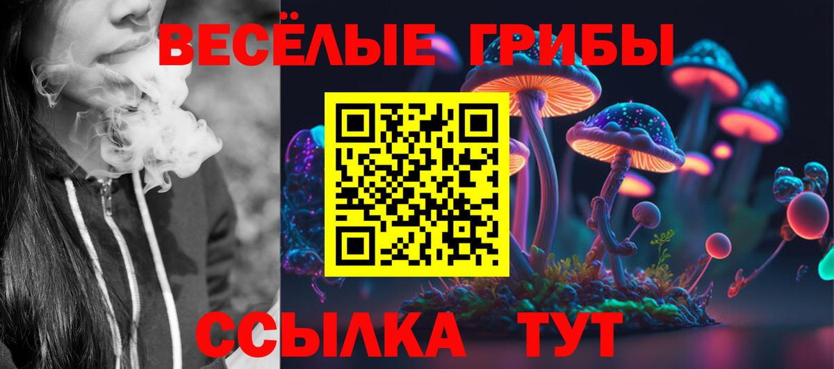 Псилоцибиновые грибы GOLDEN TEACHER Касимов